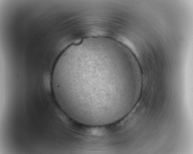 X0000096690345200802121237