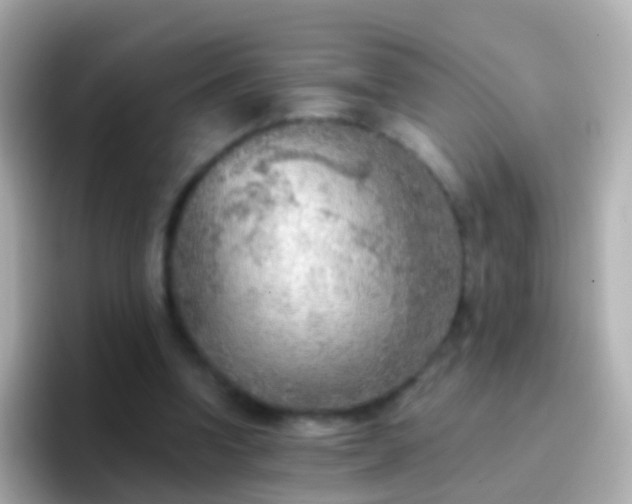 X0000096690346200802121237