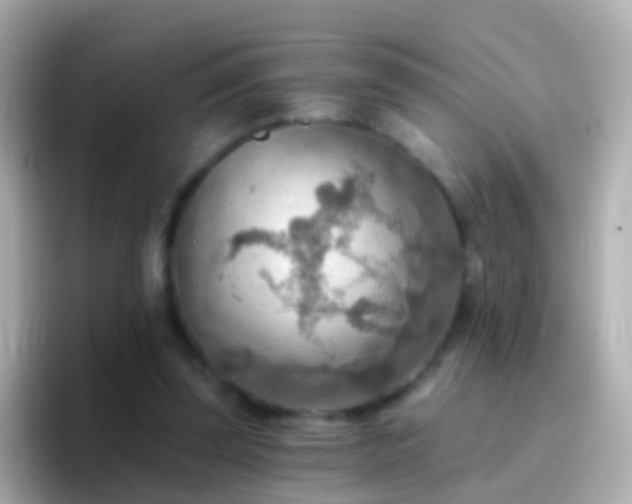 X0000096690347200802121237