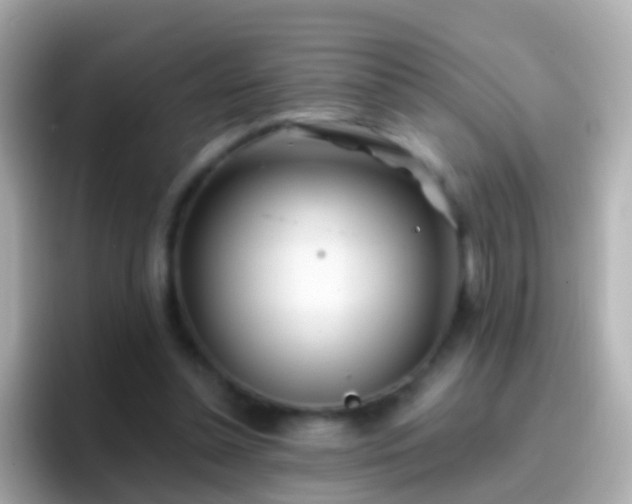 X0000096690348200802121237