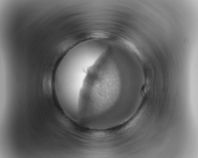 X0000096690349200802121237