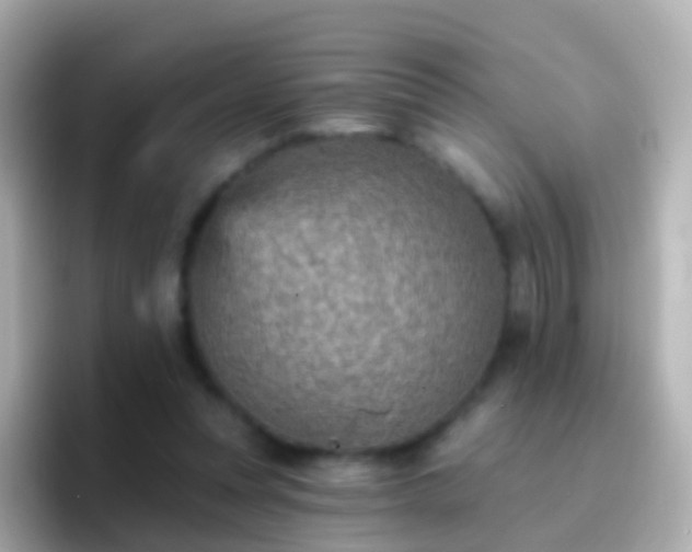 X0000096690351200802121237