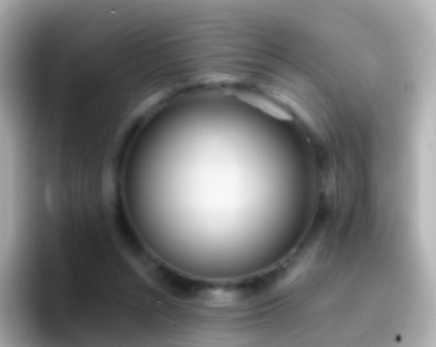 X0000096690352200802121237