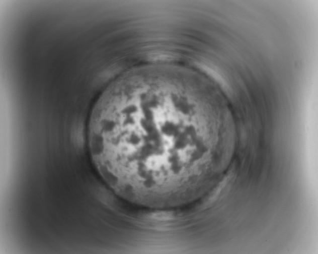 X0000096690353200802121237