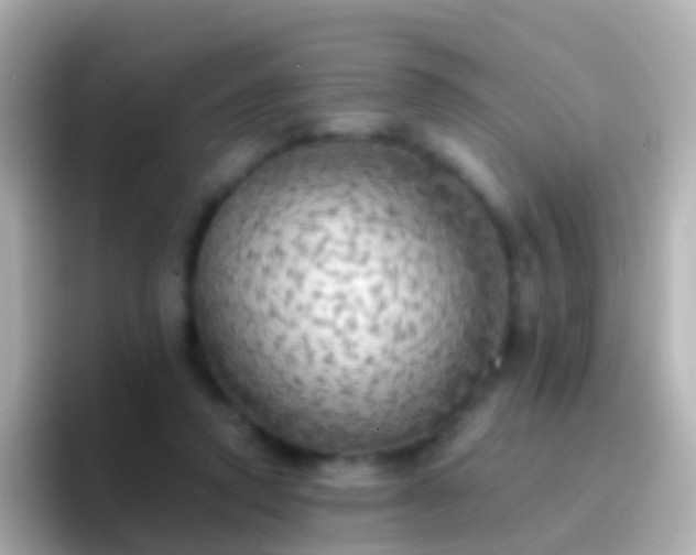 X0000096690354200802121237