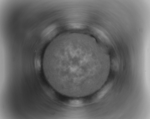 X0000096690358200802121237