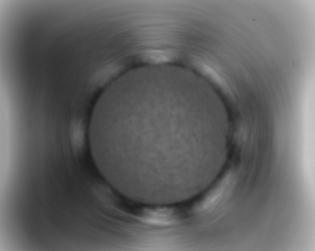 X0000096690359200802121237