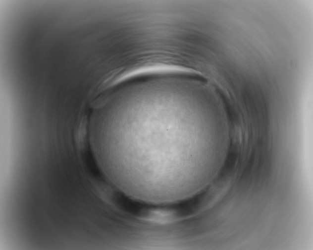 X0000096690360200802121237