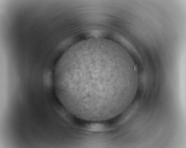 X0000096690361200802121237