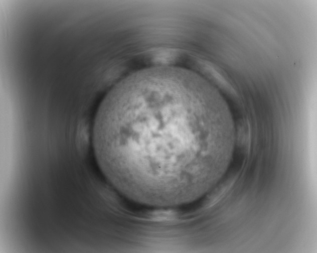 X0000096690363200802121237