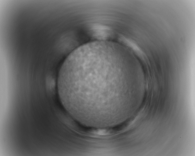 X0000096690365200802121237