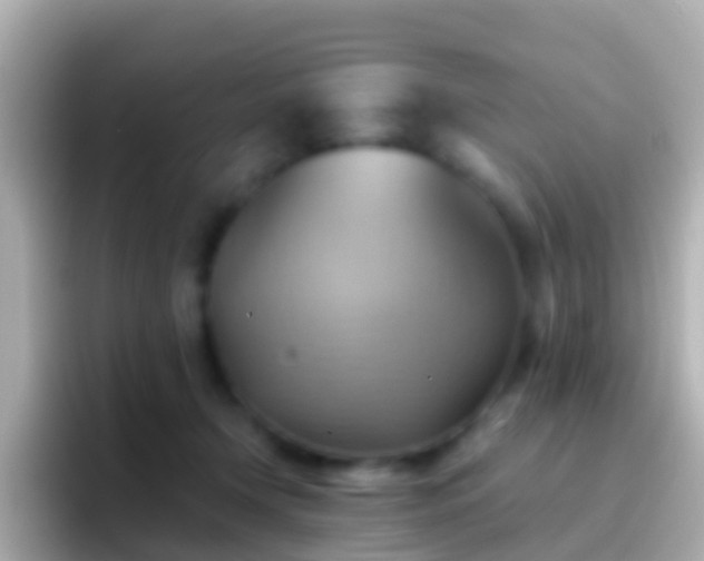 X0000096690366200802121237