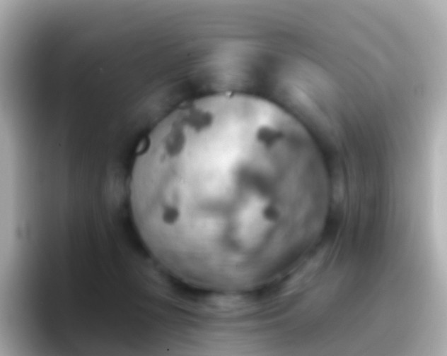 X0000096690367200802121237