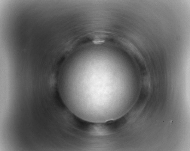 X0000096690372200802121237