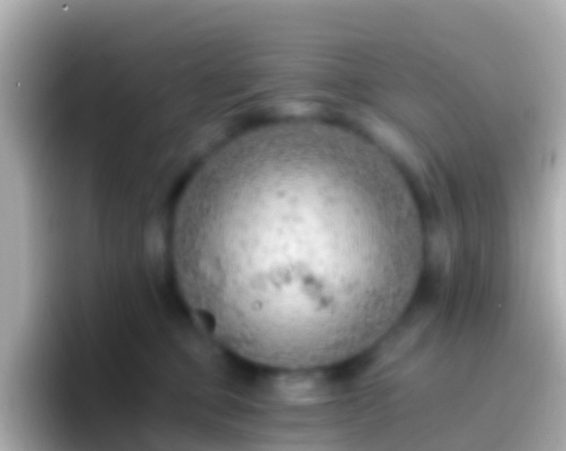 X0000096690373200802121237