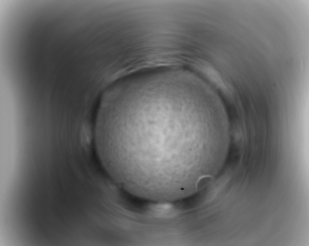 X0000096690374200802121237