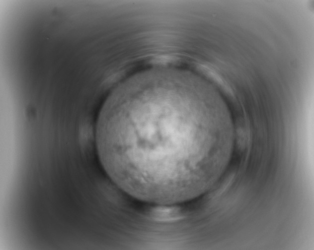 X0000096690375200802121237