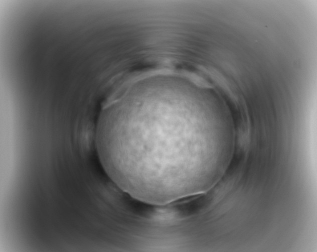 X0000096690376200802121237