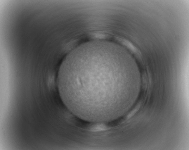 X0000096690377200802121237