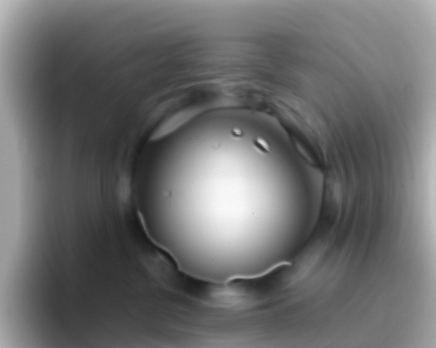 X0000096690380200802121237