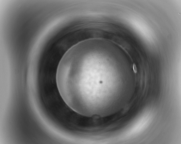 X0000096690383200802121237