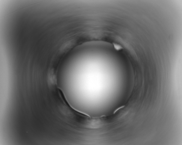 X0000096690384200802121237