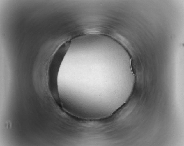 X0000096690385200802121237