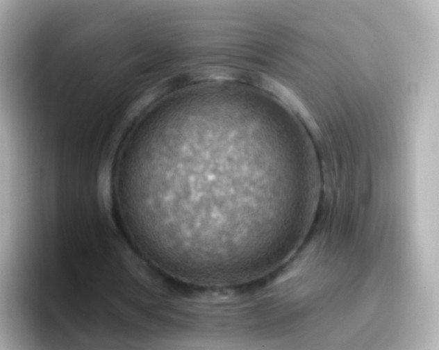 X0000096690386200802121237