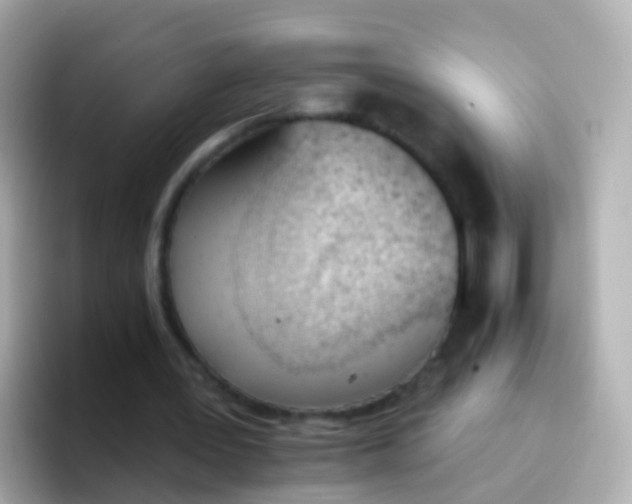 X0000096690387200802121237