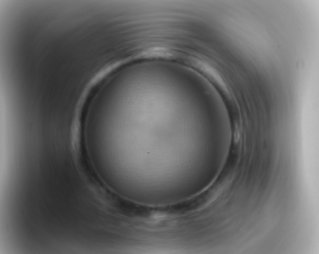 X0000096690388200802121237