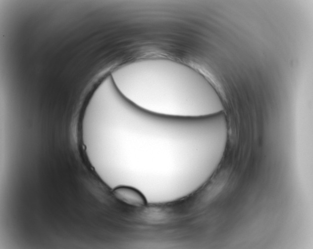 X0000096690390200802121237