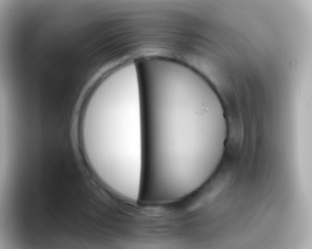 X0000096690391200802121237