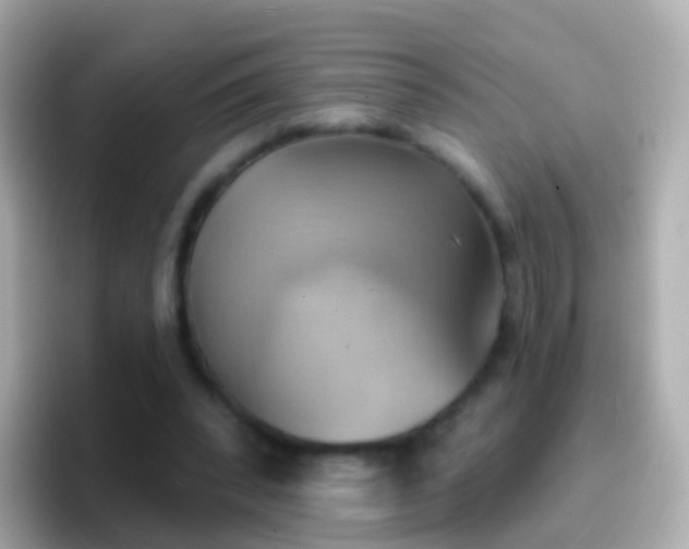 X0000096690392200802121236