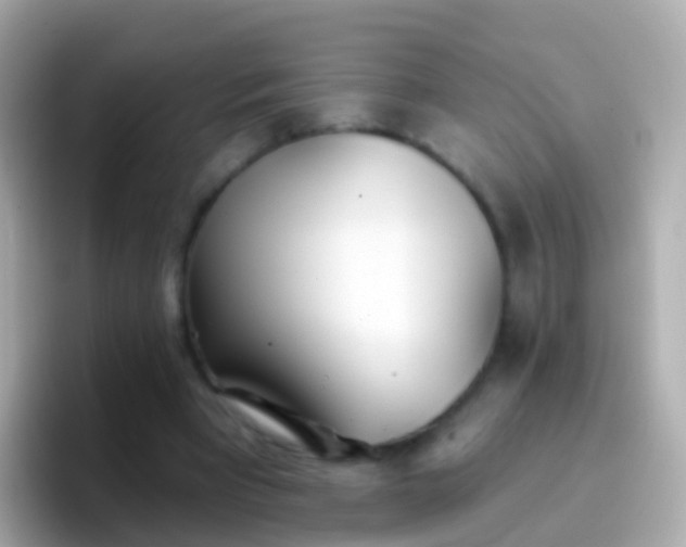 X0000096690393200802121236