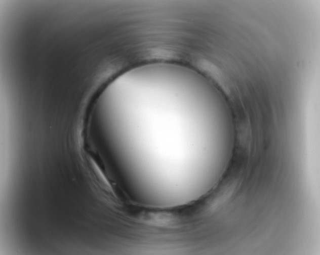 X0000096690395200802121236