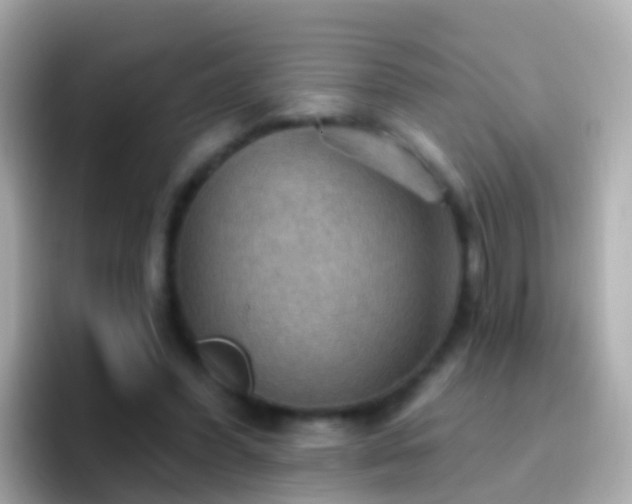 X0000096690396200802121236