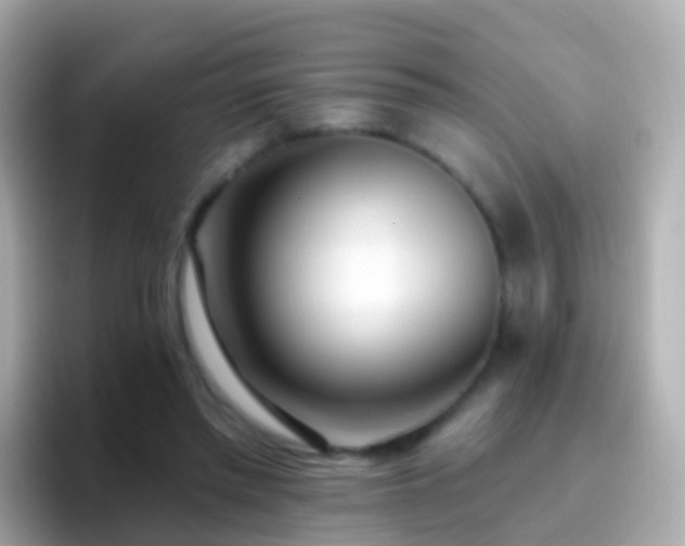 X0000096690397200802121236