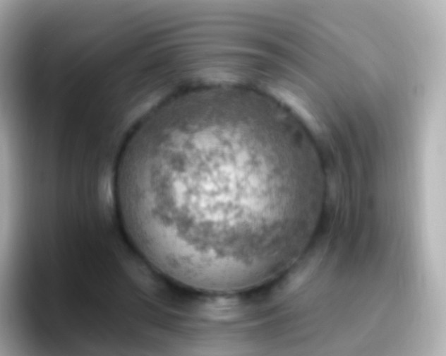 X0000096690398200802121236