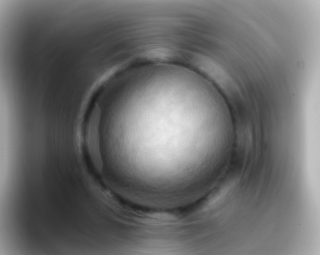 X0000096690399200802121236