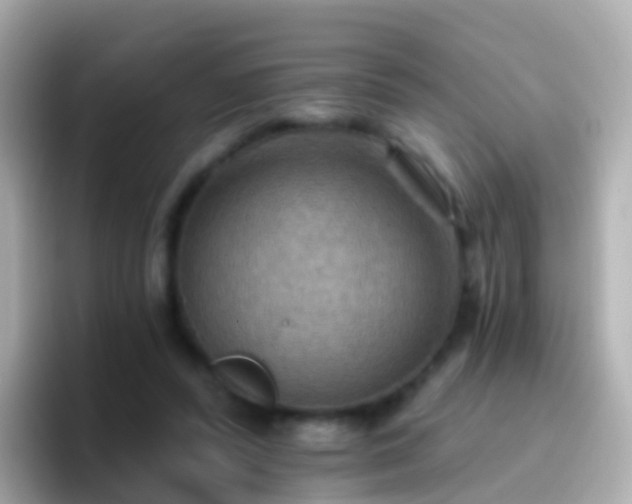 X0000096690400200802121236