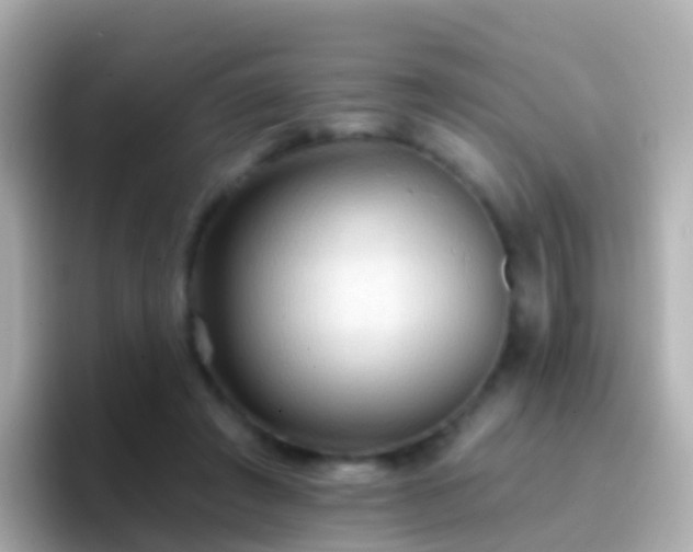 X0000096690401200802121236