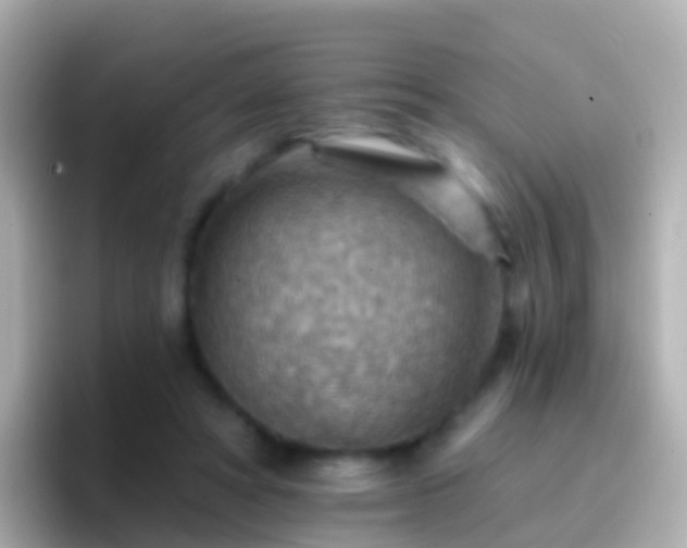 X0000096690402200802121236