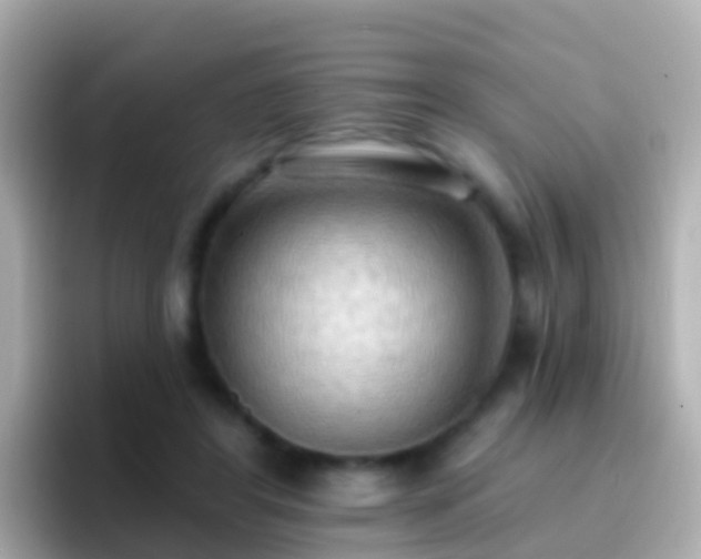 X0000096690404200802121236