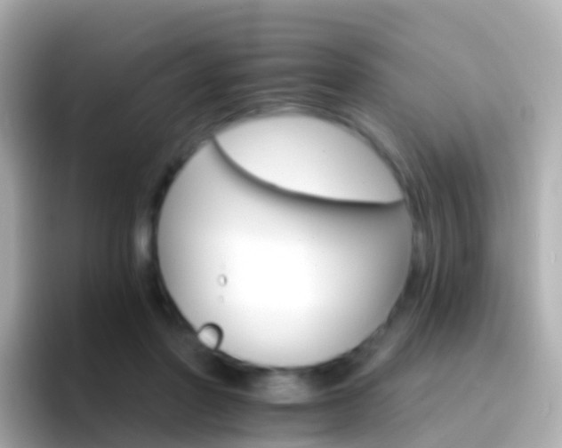 X0000096690406200802121236