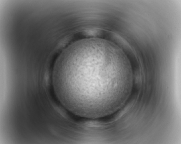 X0000096690408200802121236