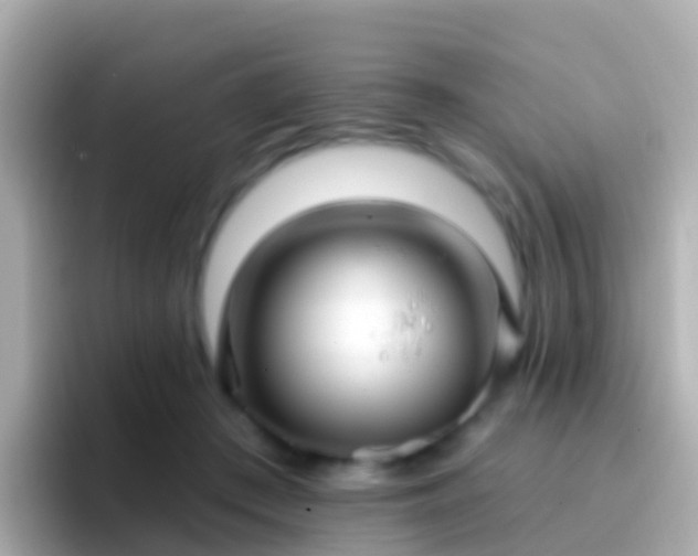 X0000096690409200802121236