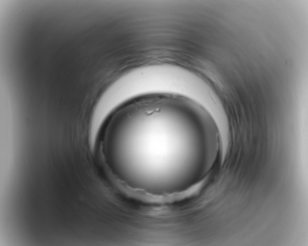 X0000096690411200802121236