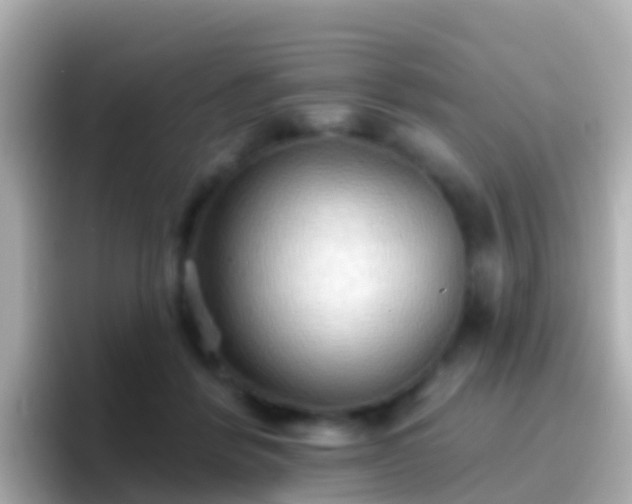 X0000096690412200802121236