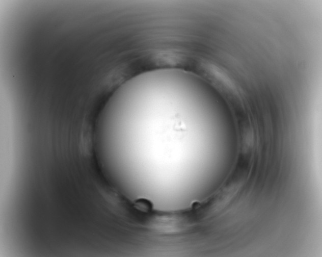 X0000096690414200802121236