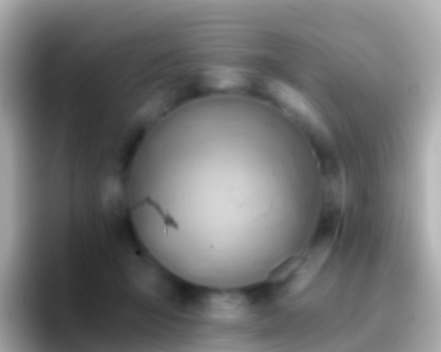 X0000096690415200802121236